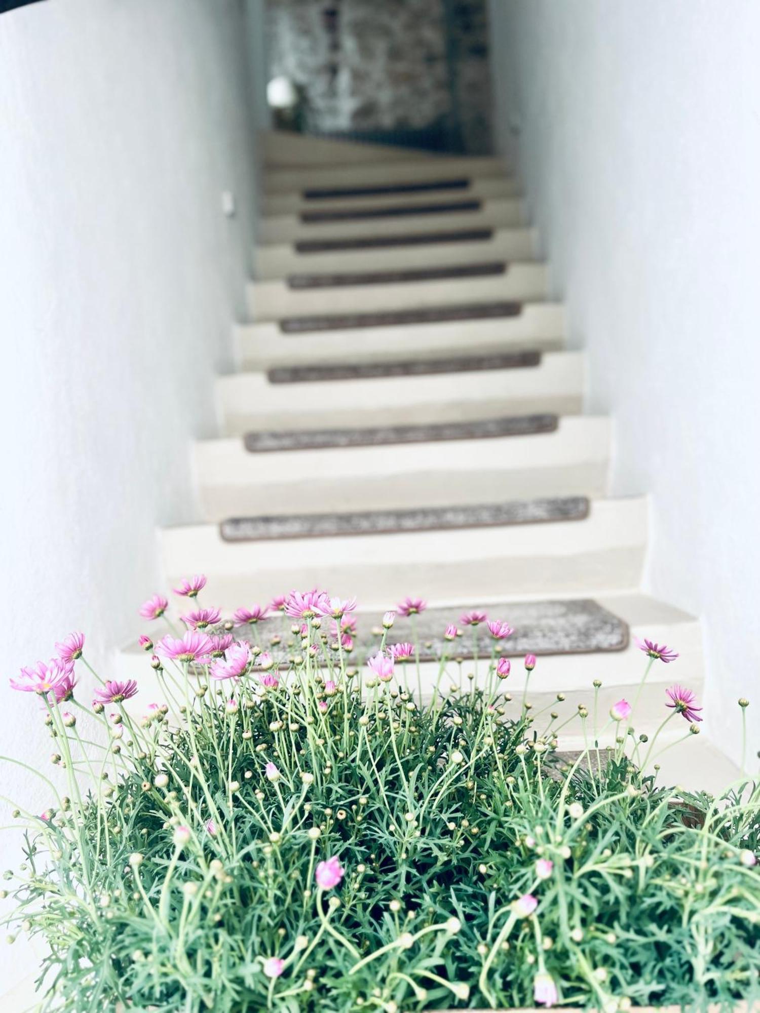 Hydria Guest House Art Gallery Acquaviva delle Fonti Dış mekan fotoğraf